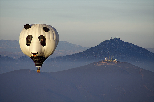 狮子的情劫是什么星座的（射手女的四个孽缘星座）