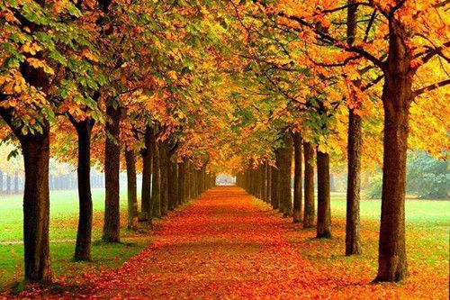 2020年巨蟹座的感情运势（巨蟹座2021感情大预言）