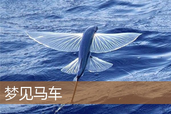 梦见马车是什么意思（梦见别人赶马车是什么意思）