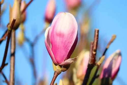 12星座女分手会伤心多久（最难放下旧情的星座男）