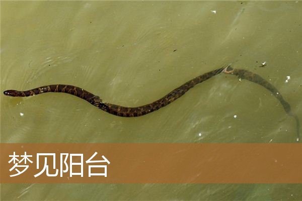 梦见阳台塌了是什么意思啊（梦见阳台很大很宽）