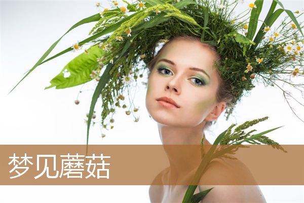 梦见蘑菇是什么征兆（梦见和别人一起采蘑菇）