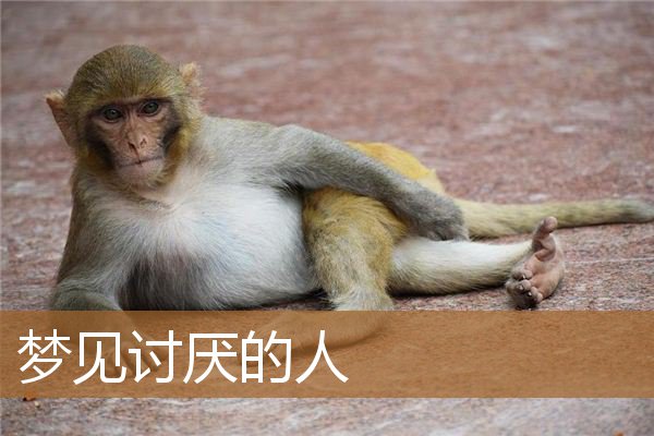 梦见讨厌的人预示着什么（做梦梦到特别反感一个人）