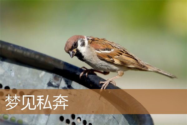 梦见私奔是什么意思（梦见别人私奔是什么意思）