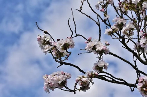 2020年金牛座贵人是谁（金牛座的桃花运在几岁）