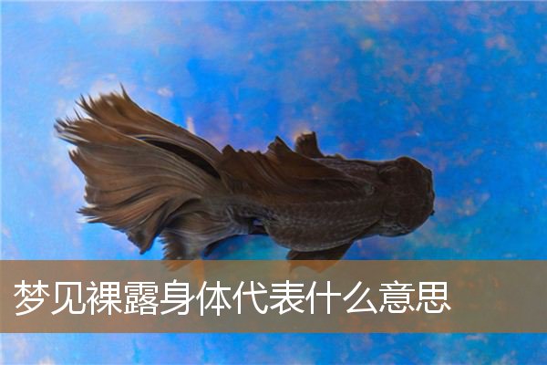 梦见裸露着身体（梦见别人裸着身体在走）
