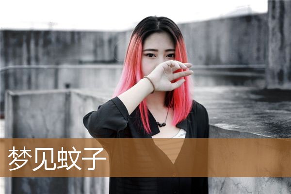 梦见蚊子是什么预兆（梦见密密麻麻的蚊子）