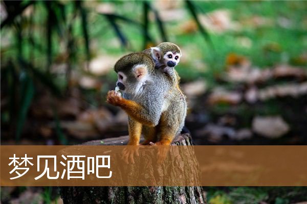 梦见酒吧里面好多人（梦见酒吧里面好多人）
