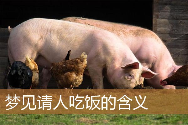梦见请人吃饭什么意思（梦见请别人吃饭预示什么）