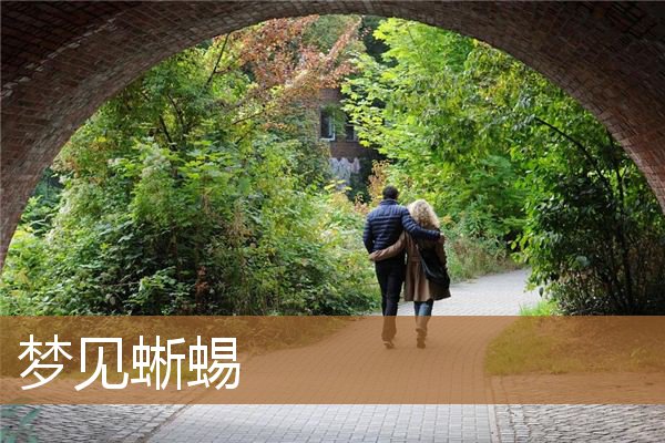 梦见蜥蜴是什么预兆（梦见蜥蜴爬到身上）