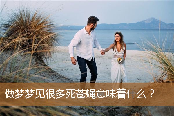 做梦梦到很多死苍蝇（梦见苍蝇是什么兆头）