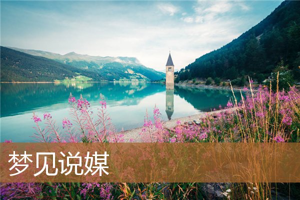 梦见说媒是什么意思（梦见有人说媒是什么兆头）