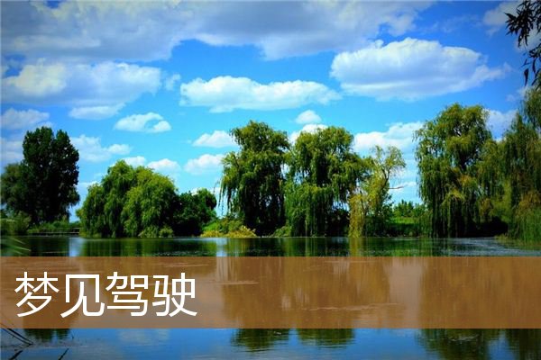 梦见驾驶飞机（梦见自己驾驶小轿车）