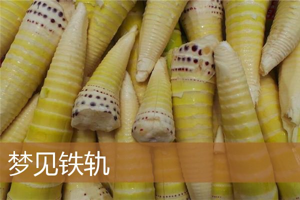 梦见铁轨和火车（梦见铁路是什么意思）