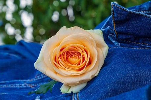 2020年处女座事业运势（9月事业运最好的4个星座）