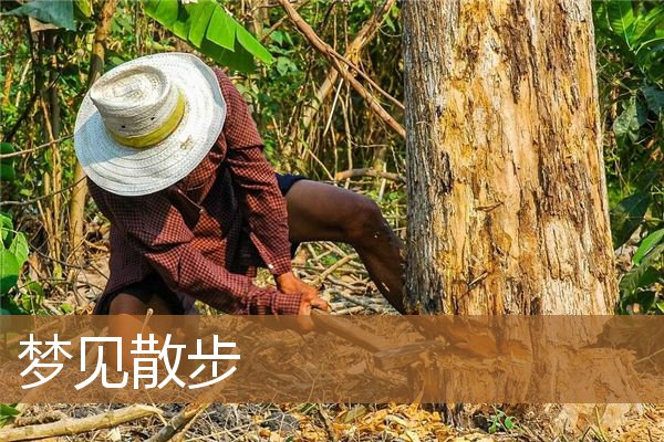 梦见跑步是什么意思（梦见一个人散步）