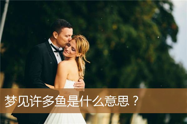 梦见许多鱼是什么意思呢（梦见许多鱼是什么征兆）