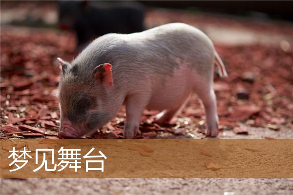 梦见舞台上表演节目（梦见和别人一起上台表演）