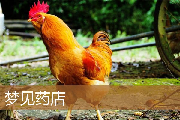 梦见药店买药是什么意思（梦见药房象征什么）