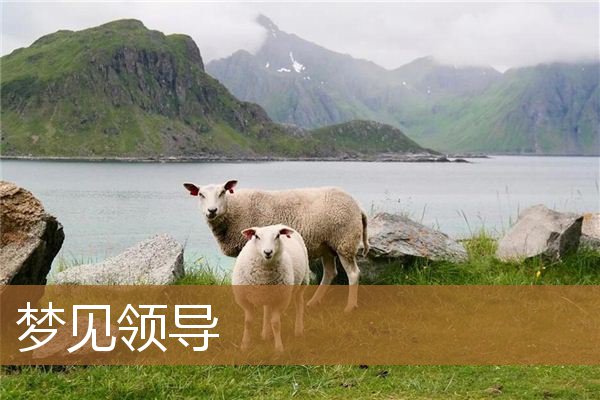 梦见领导是什么预兆（梦见一把手领导预示着什么）