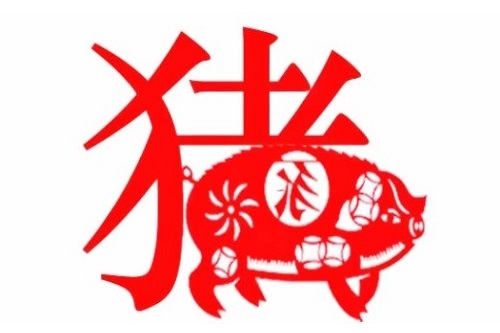 71年属猪50岁后命运女（71年属猪51到52岁好运气）