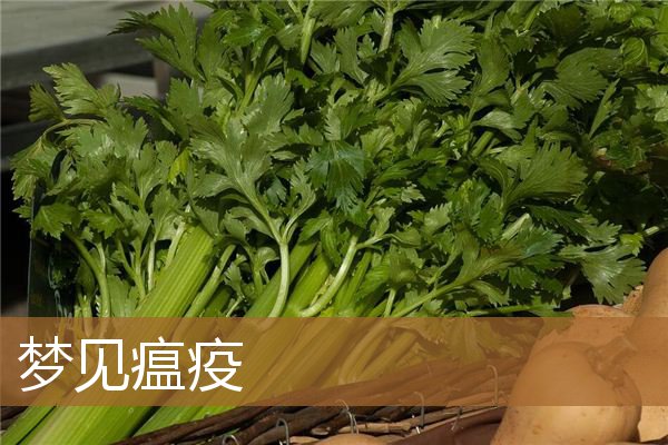 梦见瘟疫是什么预兆（梦见大规模传染病暴发）
