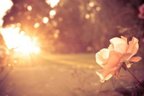 2020年天蝎的贵人星座是谁（谁是巨蟹座的贵人）