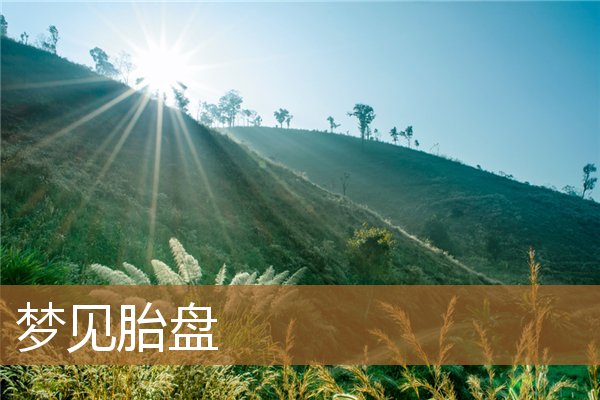 梦见胎盘是什么意思（女人梦见胎盘好不好）