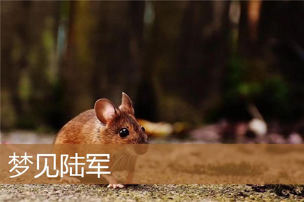 梦见陆军部队（梦见部队军官周公解梦）
