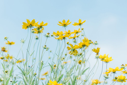 2021双子会遇到什么劫难（射手座2020年必遭遇的劫难）