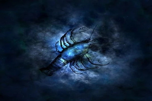 12星座男谁会吃回头草（吃回头草概率最高的星座）