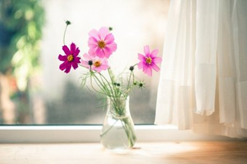 2020双鱼的水逆在什么时候（双鱼座2019年水逆严重）