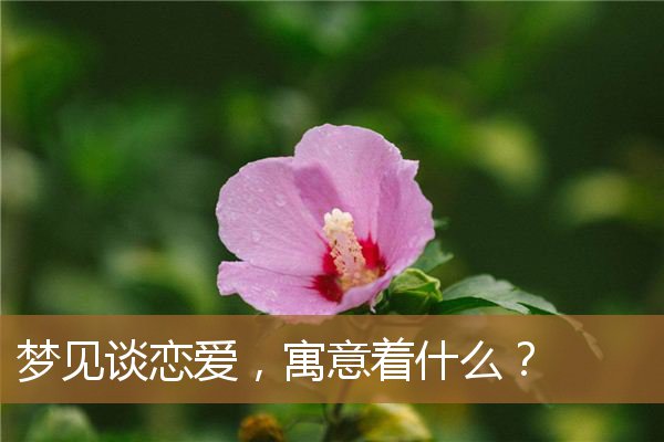 梦见谈恋爱是什么征兆（单身的人梦见谈恋爱了）
