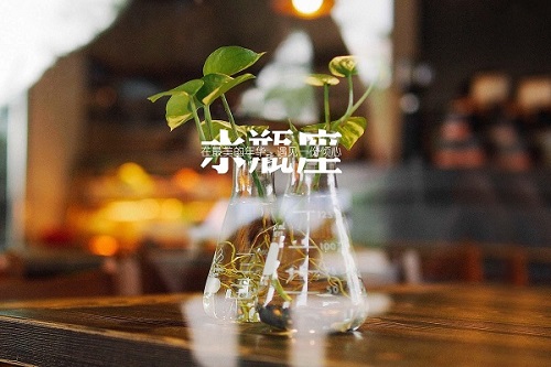 水瓶座中年后的情劫有哪些（爱水瓶爱到疯的星座）