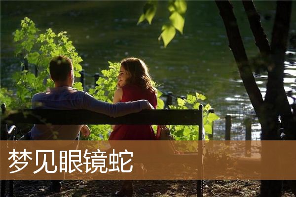 梦见眼镜蛇是什么预兆（男人梦见眼镜蛇是什么预兆）