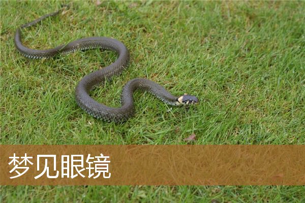 梦见眼镜坏了是什么兆头（梦见好几个眼镜）