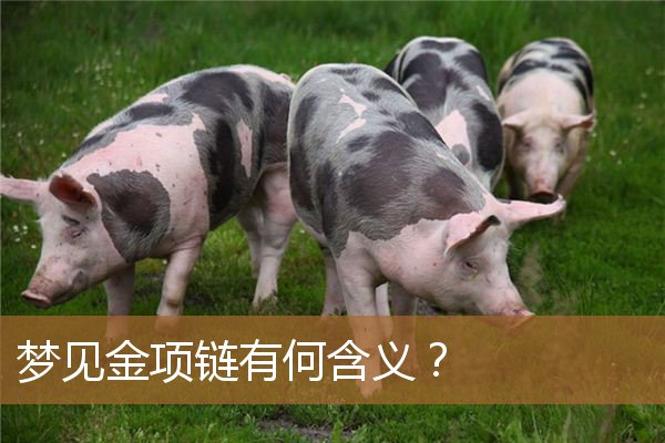 梦见金项链有何含义解梦（梦见黄金项链意味着什么）