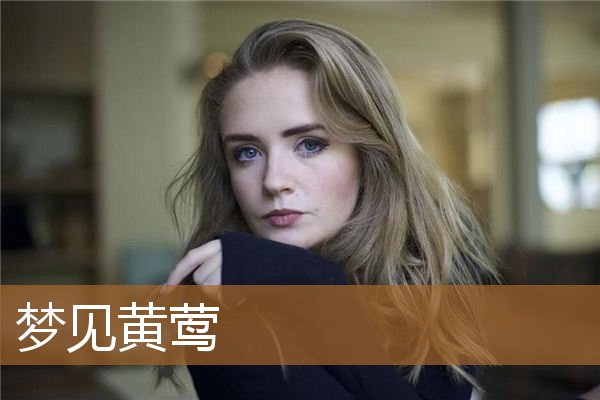 梦见黄莺是什么意思（做梦梦到黄鹂鸟在手上）