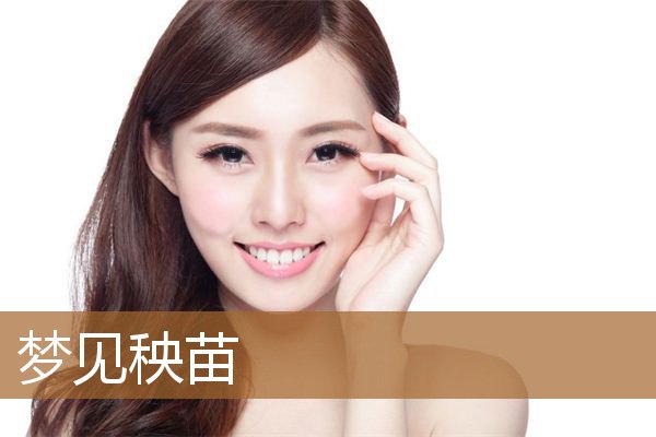梦见秧苗和水田（梦见自己在水田里插秧苗）