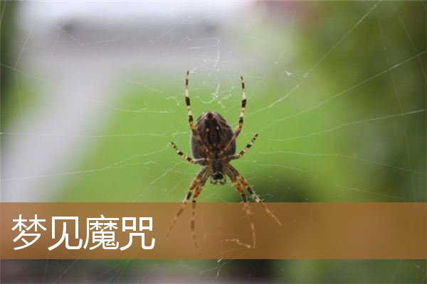 梦见魔咒控制我（梦见自己被施了魔法）