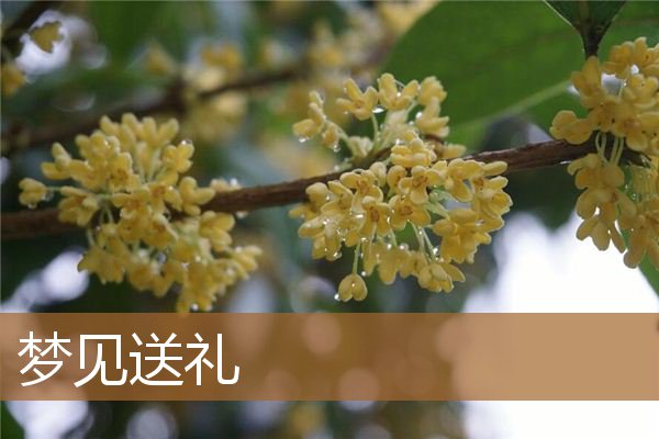 梦见送礼给别人（梦见自己给别人送礼）