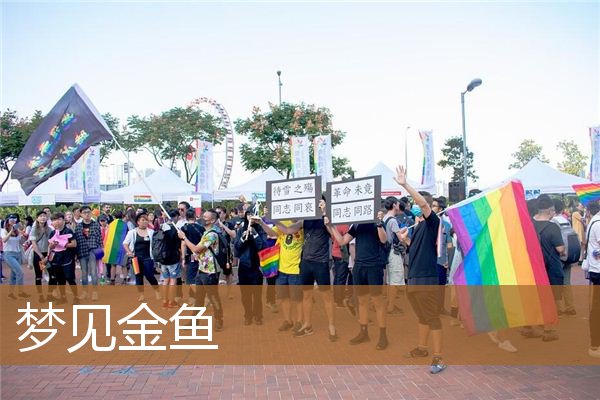 梦见金鱼是什么意思（梦见金鱼周公解梦原版）