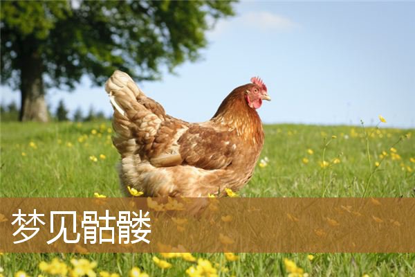 梦见骷髅头是什么预兆（梦见骷髅骨架是什么征兆）