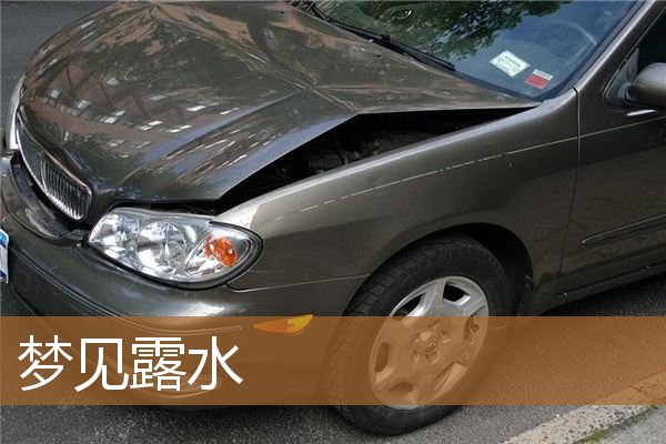 梦见露水是什么意思（梦到草上好多露水）