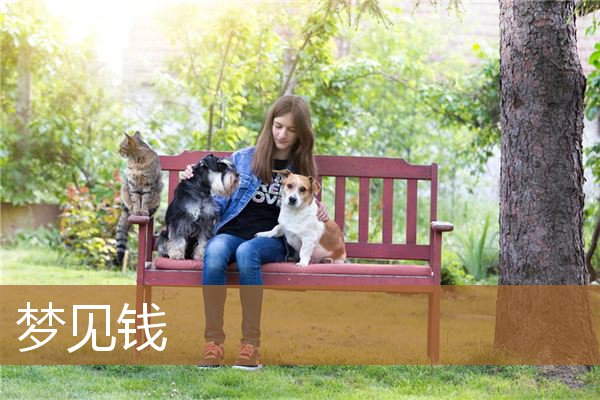 梦见钱被偷了是什么预兆（男人梦见钱是什么预兆）