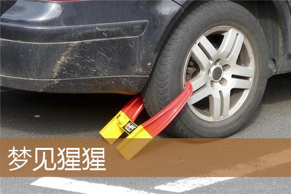 梦见猩猩是什么预兆（梦见猩猩追我我到处躲）