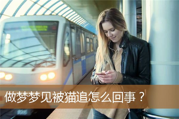 做梦梦见被猫追怎么回事啊（做梦梦到被猫追赶攻击）