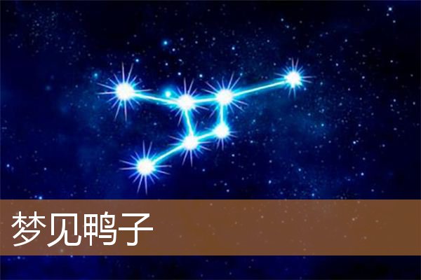 梦见鸭子是什么意思（男人梦见鸭子是什么预兆）