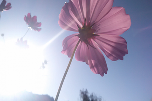 水瓶座2021年4月运势（水瓶座下半年太可怕了）