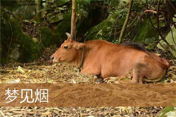 梦见烟是什么意思（梦见冒烟但没看见火焰）